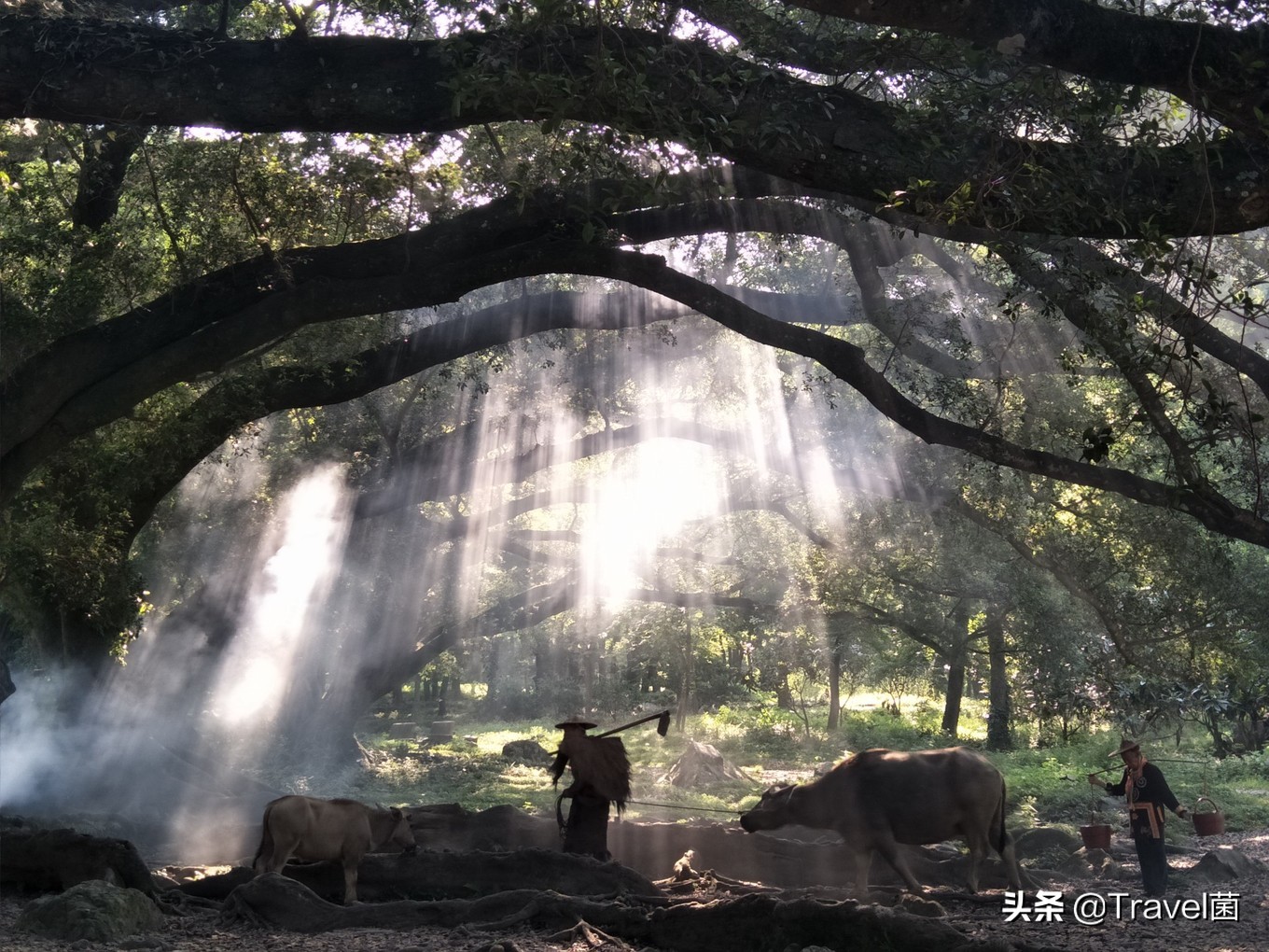 霞浦十大必游景点：探秘福建最美海岸线风光