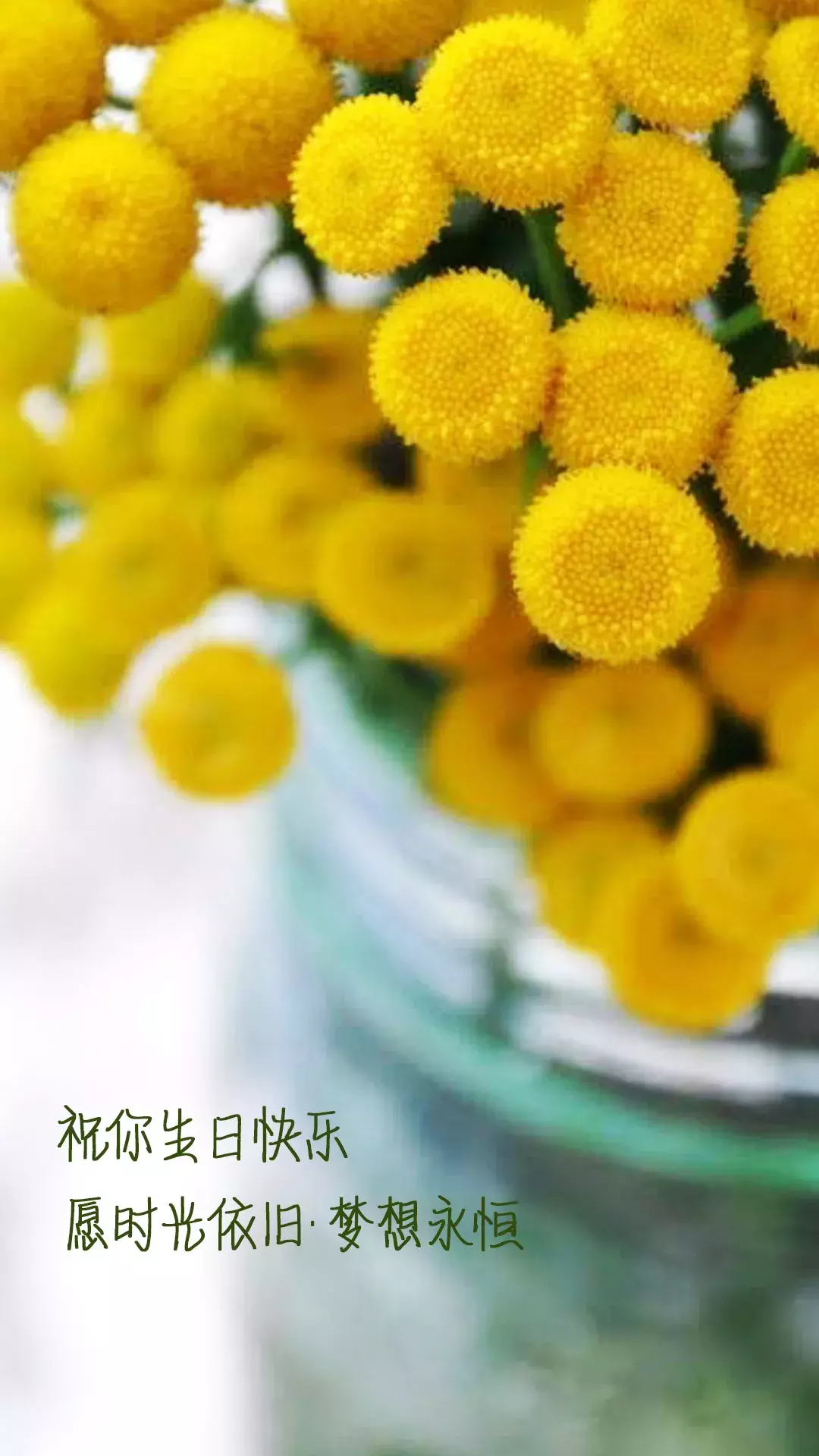 抖音超火的生日祝福短句,简短经典很赞