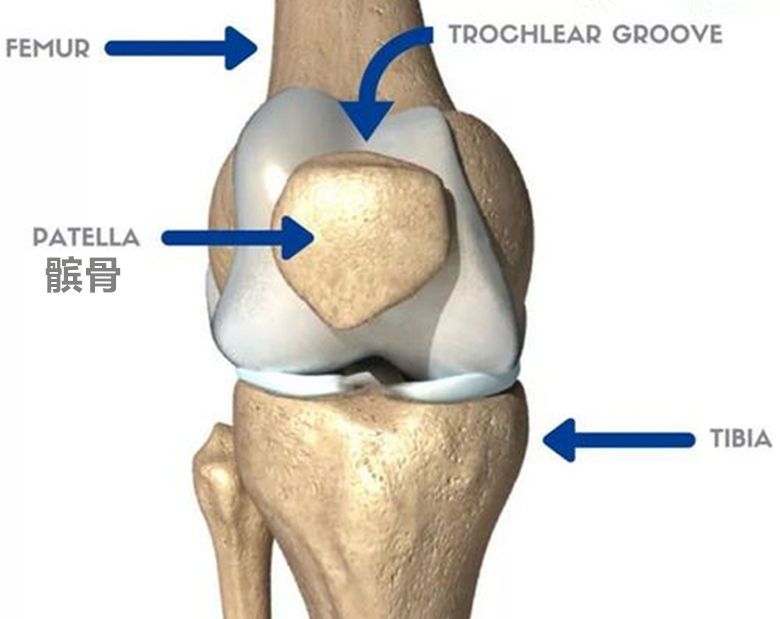 切除髌骨后就不能走路了吗?看医生怎么说!