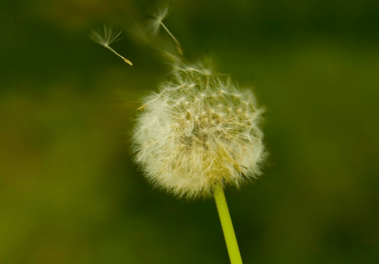 “和睦相处”这四个字到底有几成意思，是好还是坏呢？