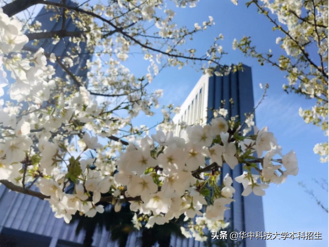 热搜！占地7000余亩，培养多位重量级院士，揭开华中科技大学的“神秘力量”！