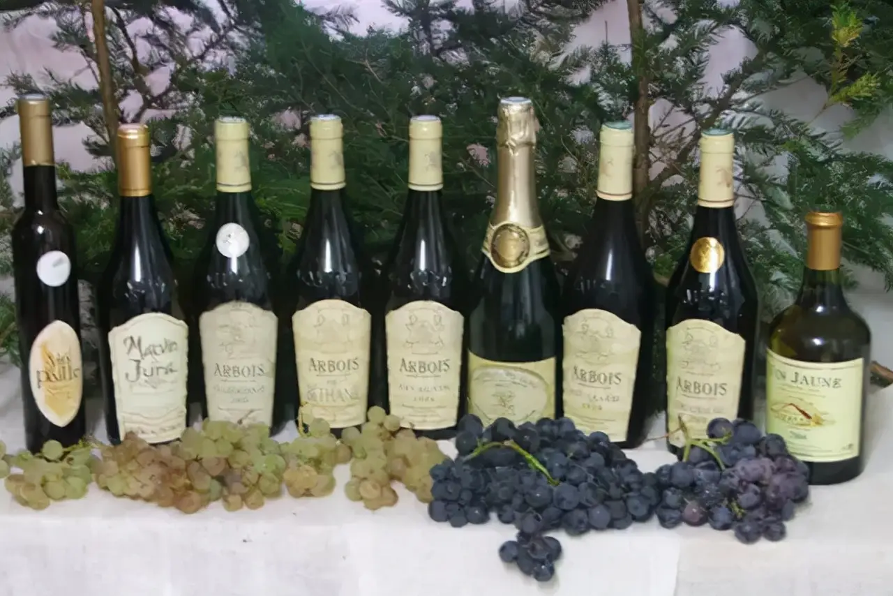 红酒如何醒酒才好喝（葡萄酒醒酒的正确方法）