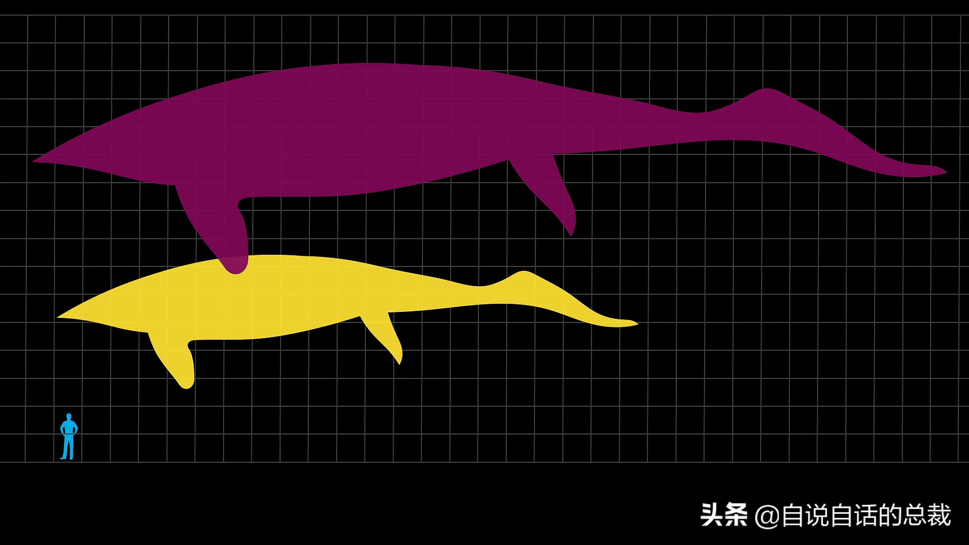 5种比巨齿鲨还恐怖的海怪，背后隐藏着一个人类起源的故事