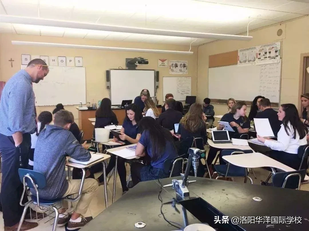 洛阳华洋国际学校2020年国际高中实验班开始招生啦