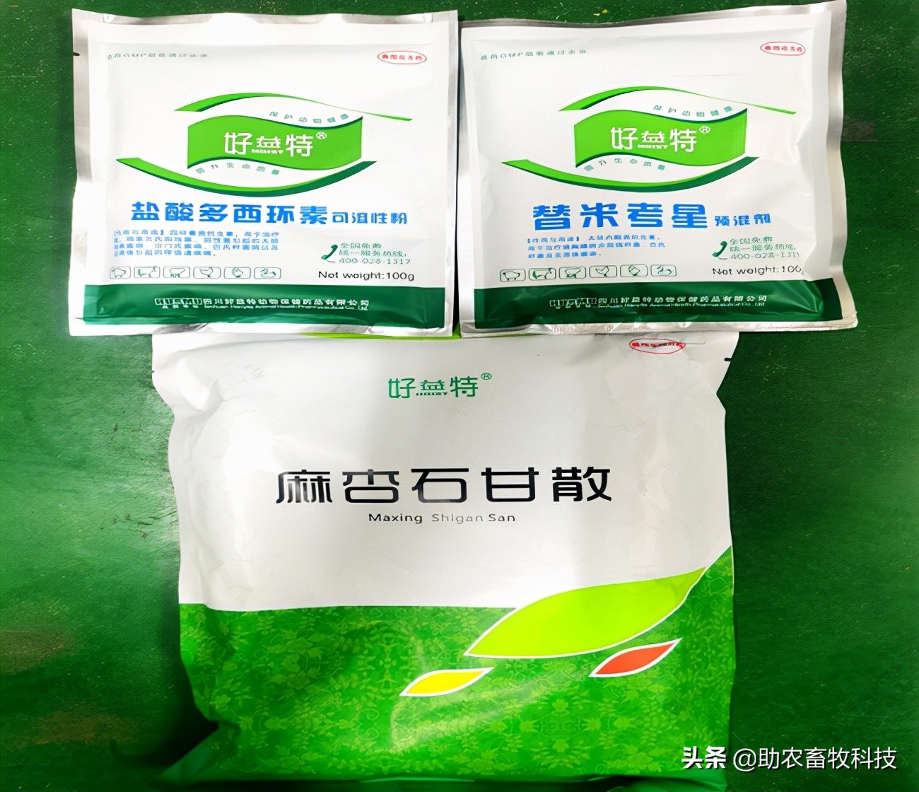 猪场10种常见疾病的症状以及用药防治方案