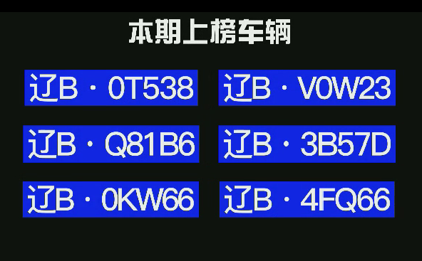 大连交通违章,大连交通违章查询官网