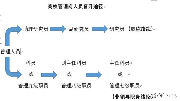 大学辅导员和党政管理岗工作未来有发展前途吗？