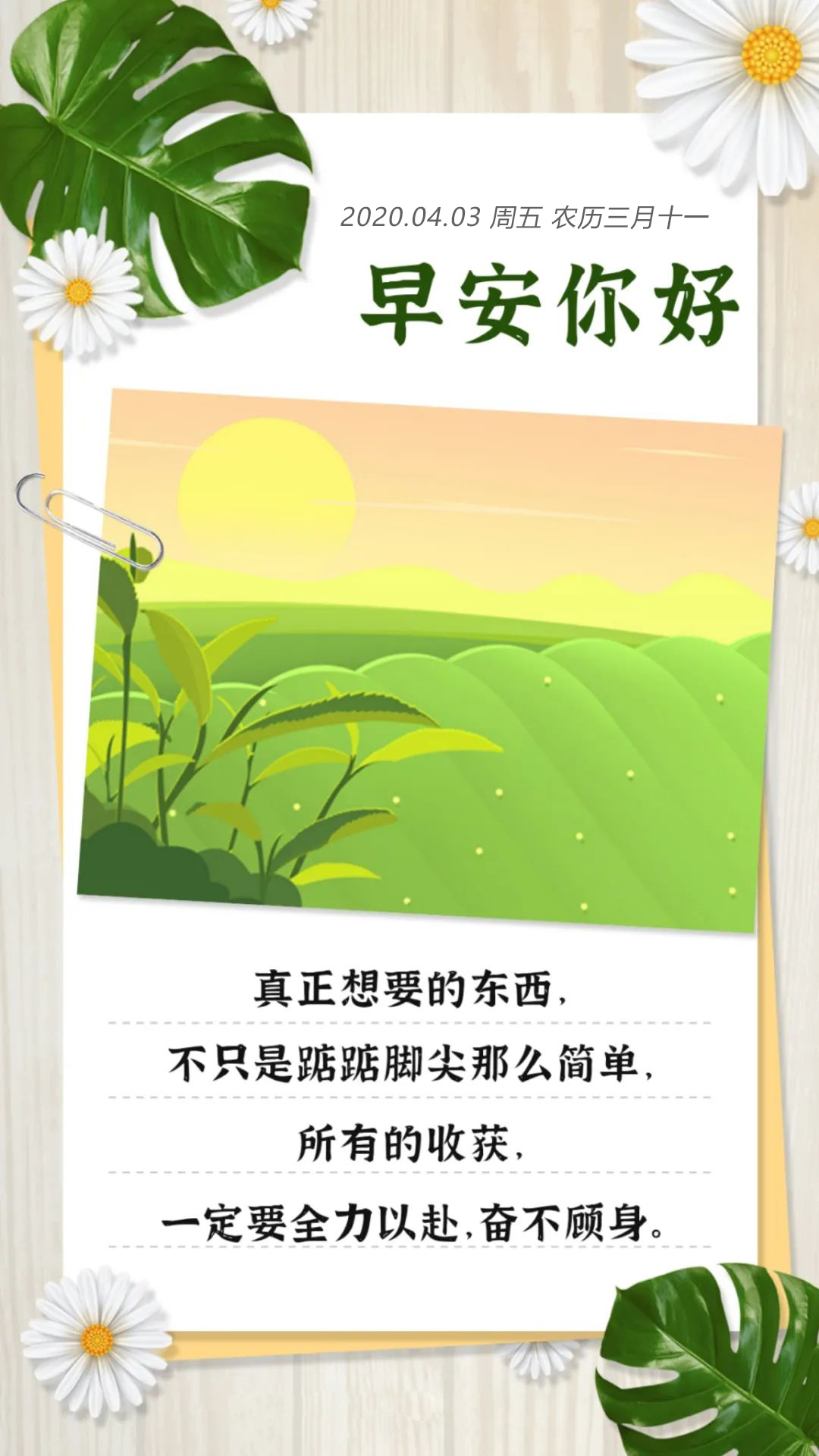 周五早安图片日签正能量语录：永远满怀热枕，做个和春天一样美好的人