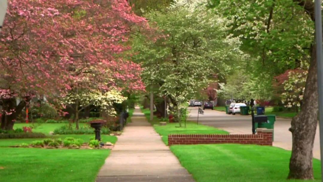 山茱萸与杜鹃-《斯里兰卡50州》背后的故事之九（第二季完结）