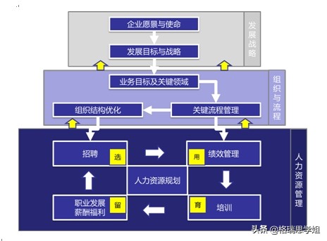 自考专业不会选？1分钟带你解读最热专业——人力资源！