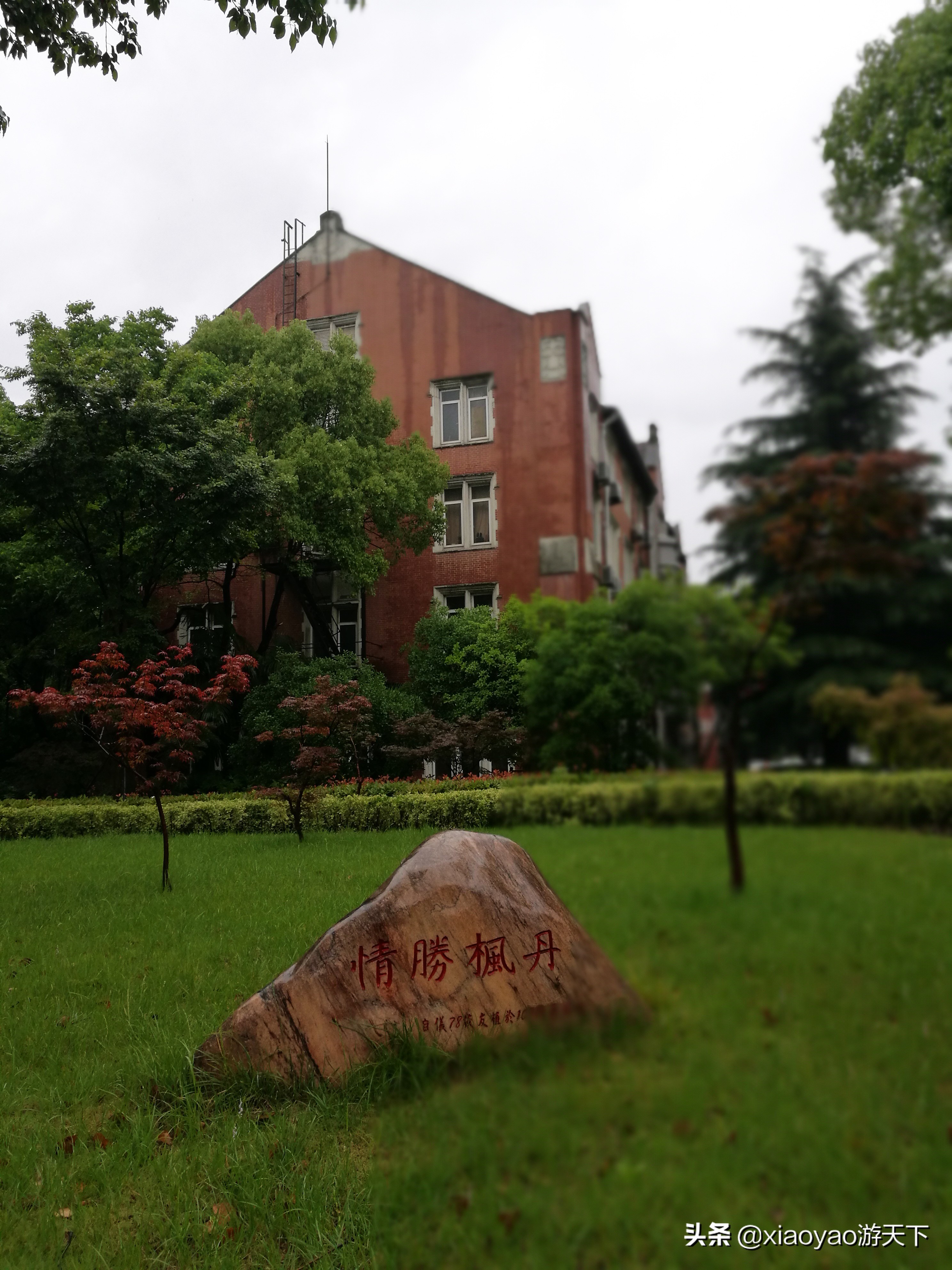 沪江大学旧址,上海最美丽的校园风景之一