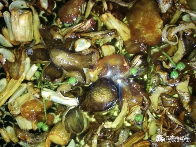 鸡枞菌读cong还是zong（云南美食，鸡枞正确读法）