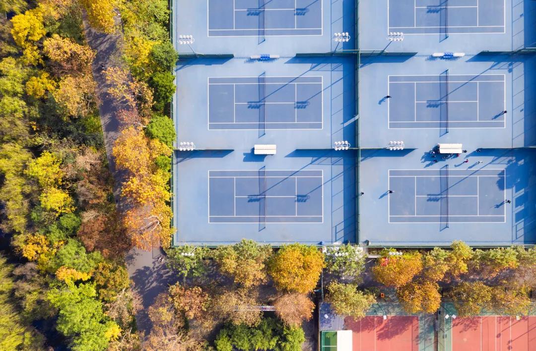 上新啦！6款浙大高颜值PPT模板送给你