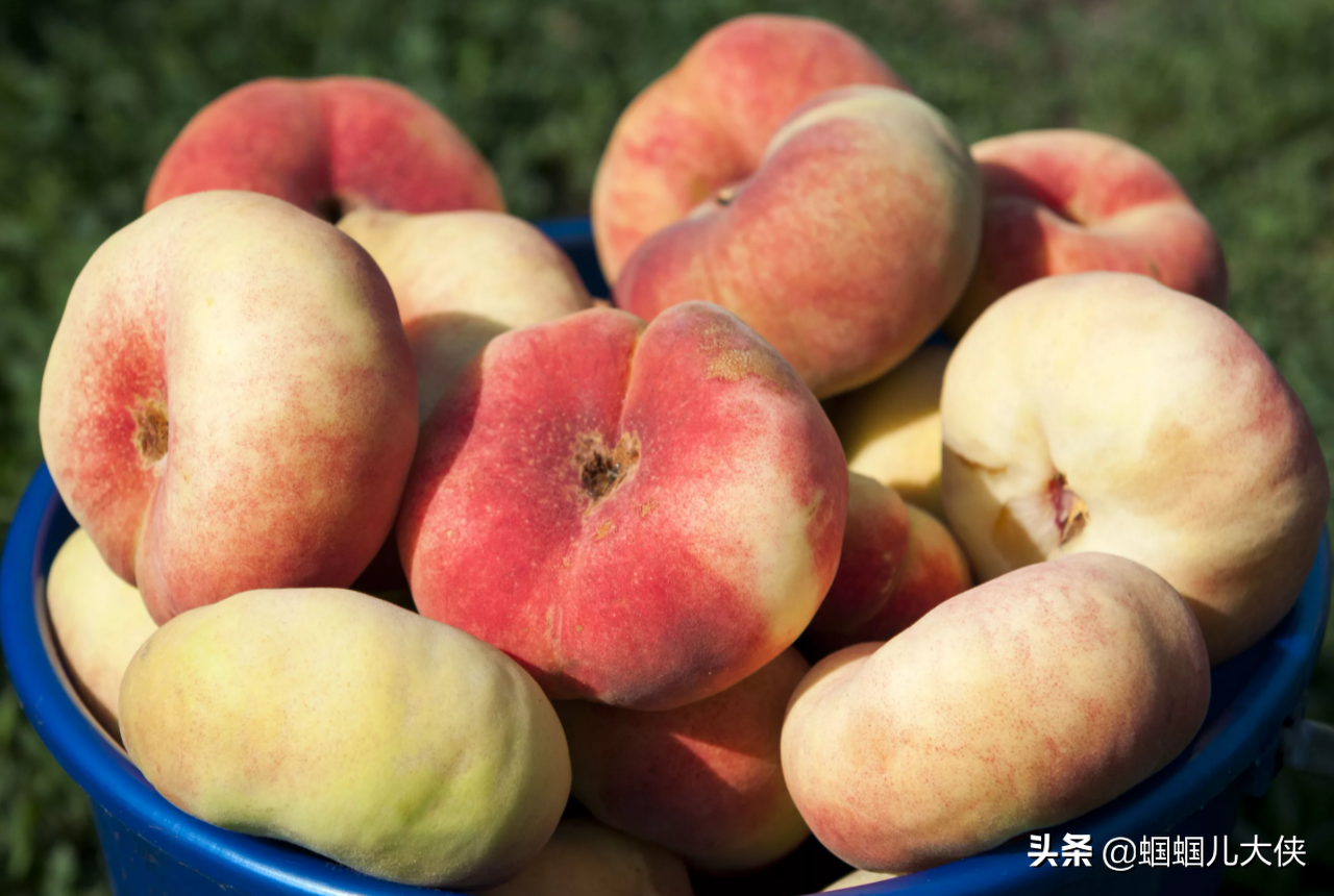 新疆 特产有哪些（盘点来自新疆的十四种特产）