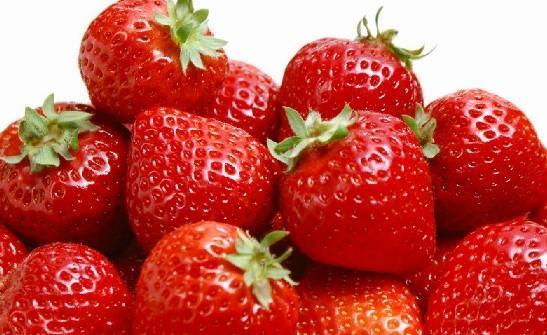 草莓是什么季节的水果（北方草莓比南方草莓成熟时间更早）