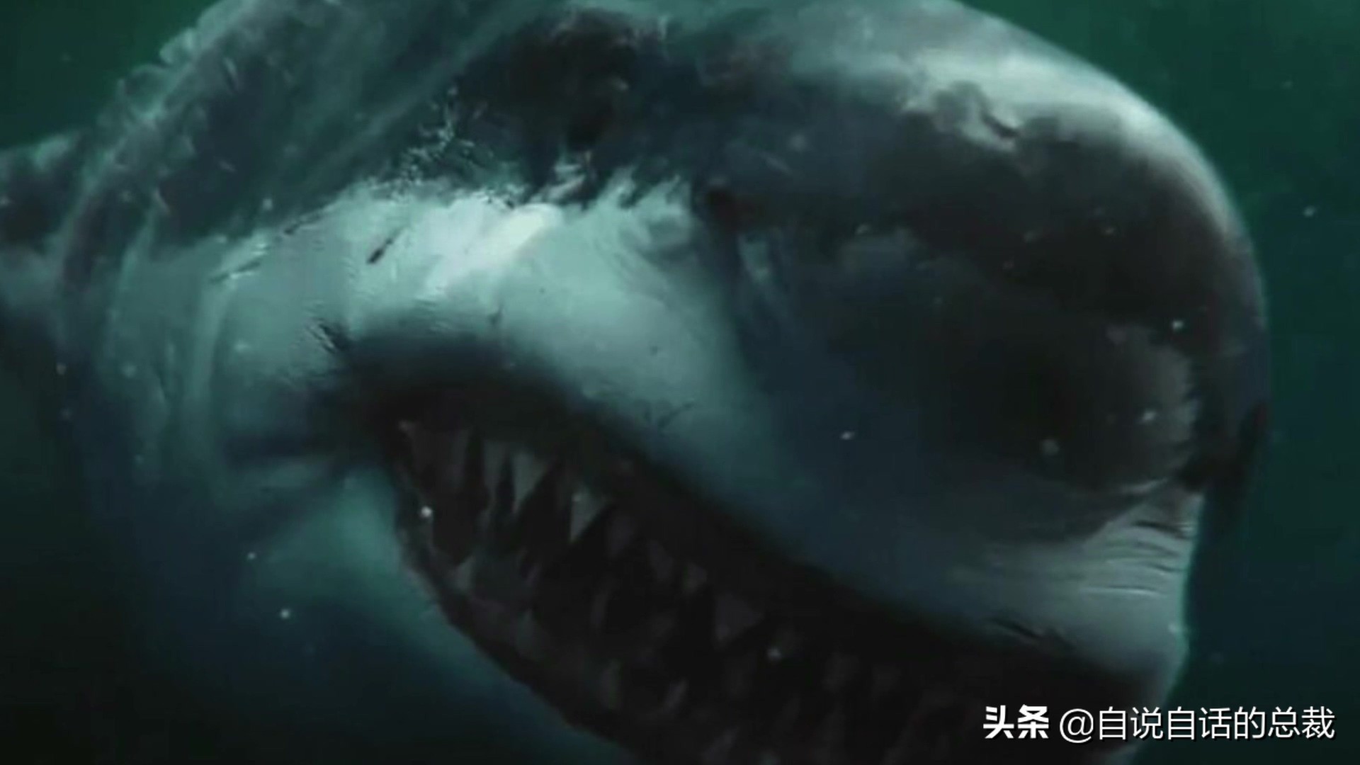 5种比巨齿鲨还恐怖的海怪，背后隐藏着一个人类起源的故事