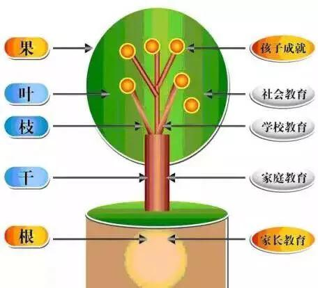 33条家庭教育经典语录，句句发人深思