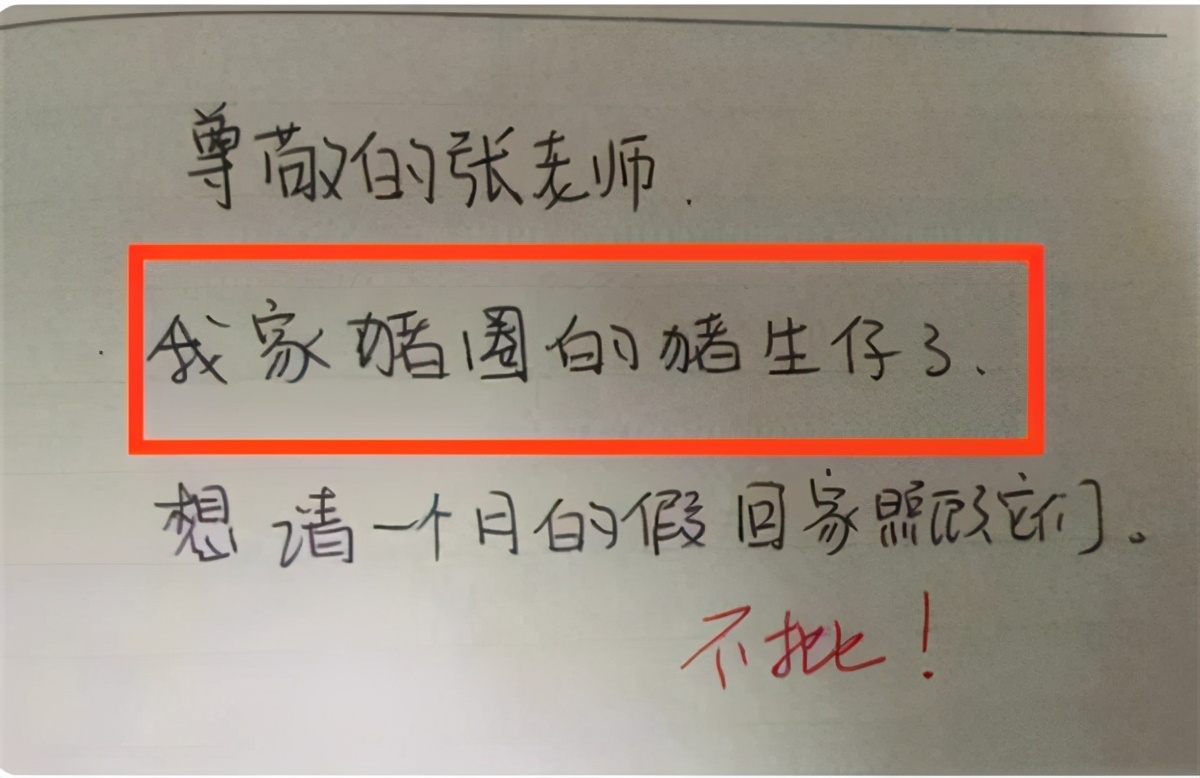 小学生郑重其事“请产假”，看到假条老师笑倒地，这真没法拒绝