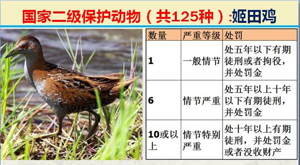 国家保护动物分几个等级（125类二级野生保护名录）