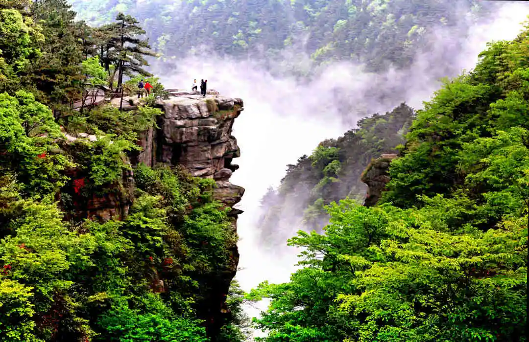 江西庐山旅居，赏瀑布、游花谷，观云海，很棒的养老体验