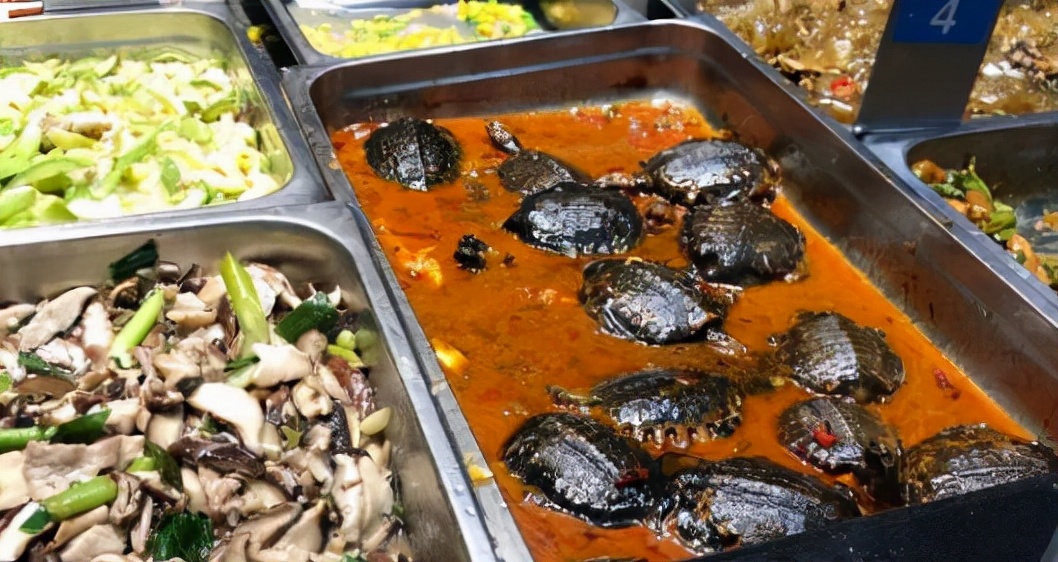 深圳大学奇葩菜品迎新生，造型设计接“地气”，学生看见后绕着走