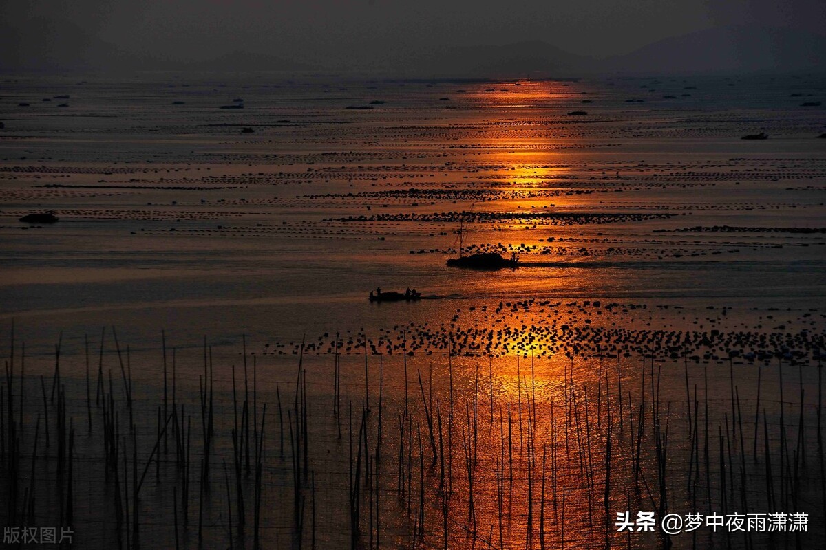 一身傲骨，白羊座