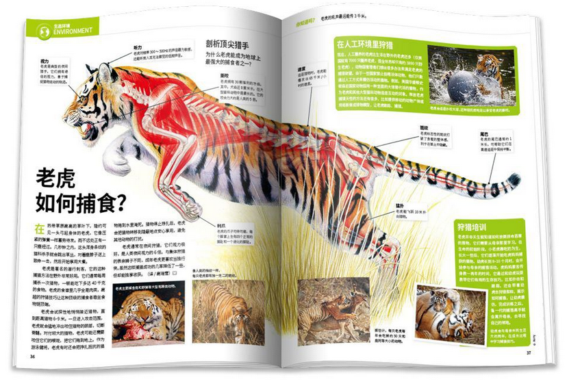 中国的三大黑科技：液态金属有生命、沙漠加水变良田、蚊子在绝育