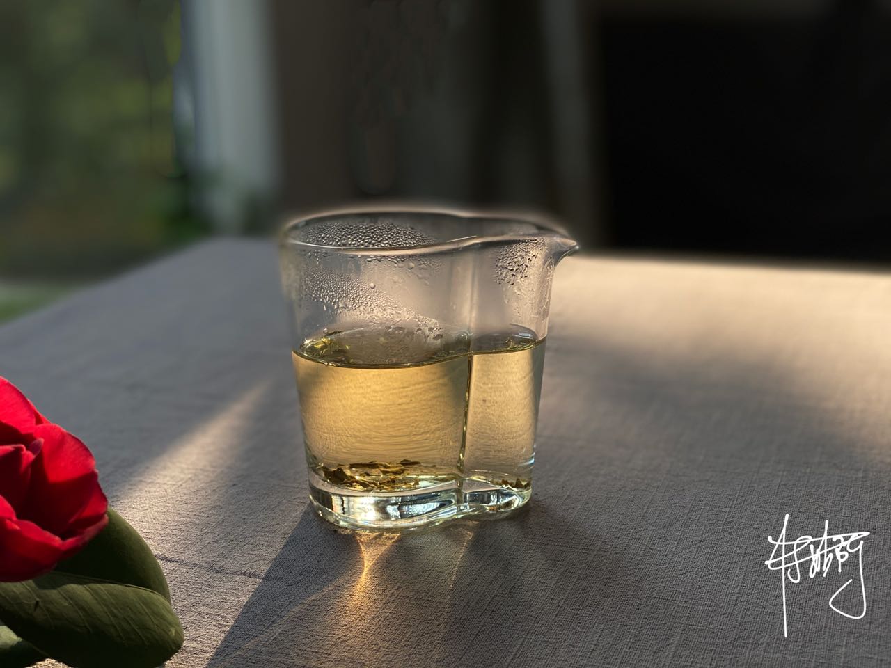 我在直播间买了50克老寿眉，仅花16.9元，不错吧？