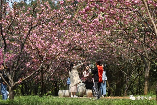毛主席亲笔题名，走出两院院士、银行行长、大学校长，湖南这所大学“太牛了”