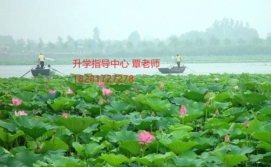 德阳应用技术职业学院2020招生简章