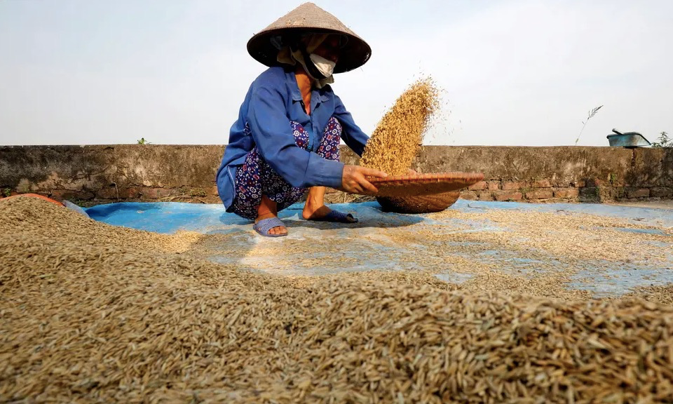 没有粮食危机，但全世界正在为保卫菜篮子而战