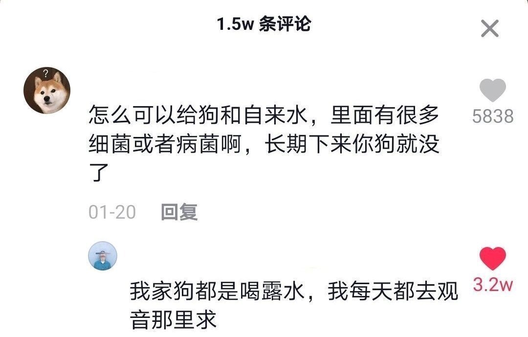 抖音神评论简直绝了！差点笑死在床上
