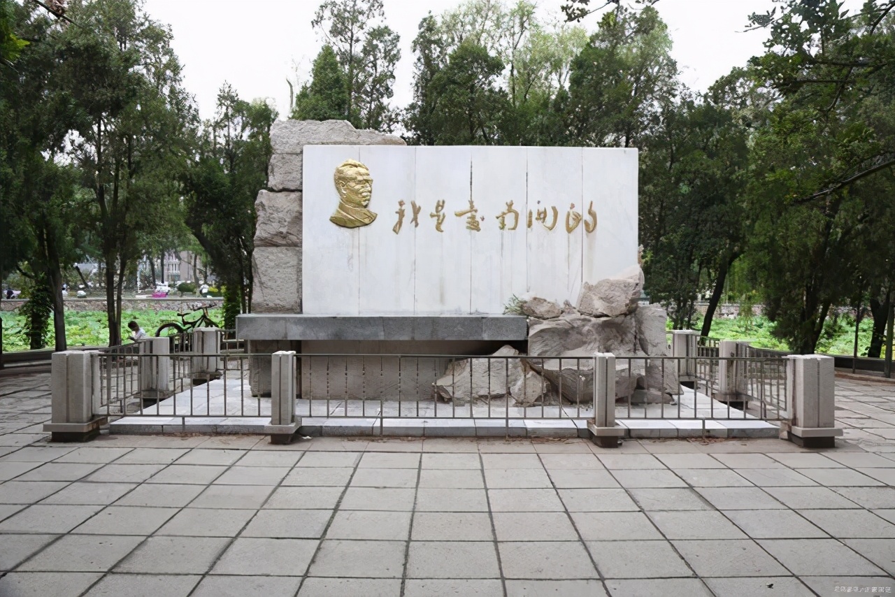 南开大学数学系（南开数学一百年）