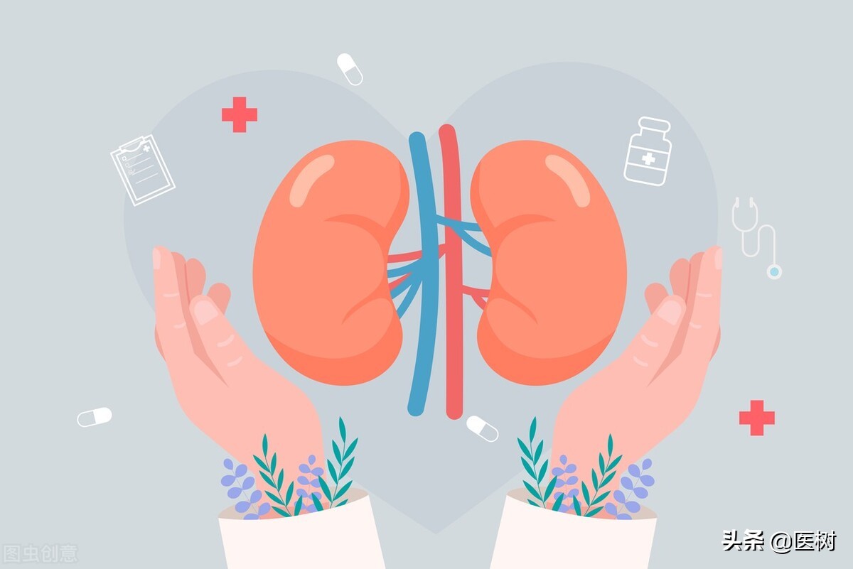 给亲属捐赠一个肾脏，对身体有什么影响？