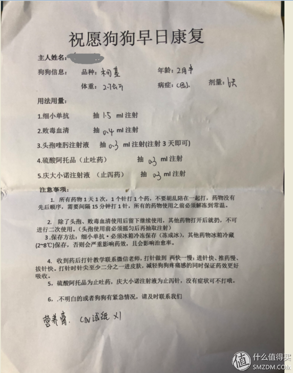 840天的等待(6天！亲眼目睹一只柯基幼犬的生命终结，送给准备养狗狗的你。)