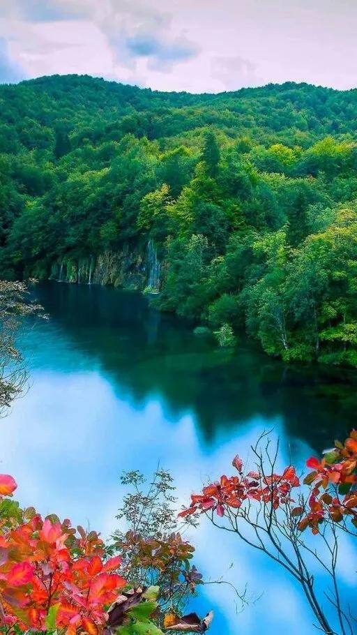 妈妈，我们总是把你藏在你的心里。