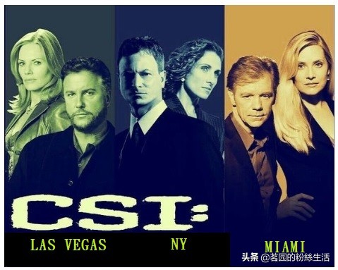 美国专辑《犯罪现场调查：CSI》中最能让人耳目一新的节目
