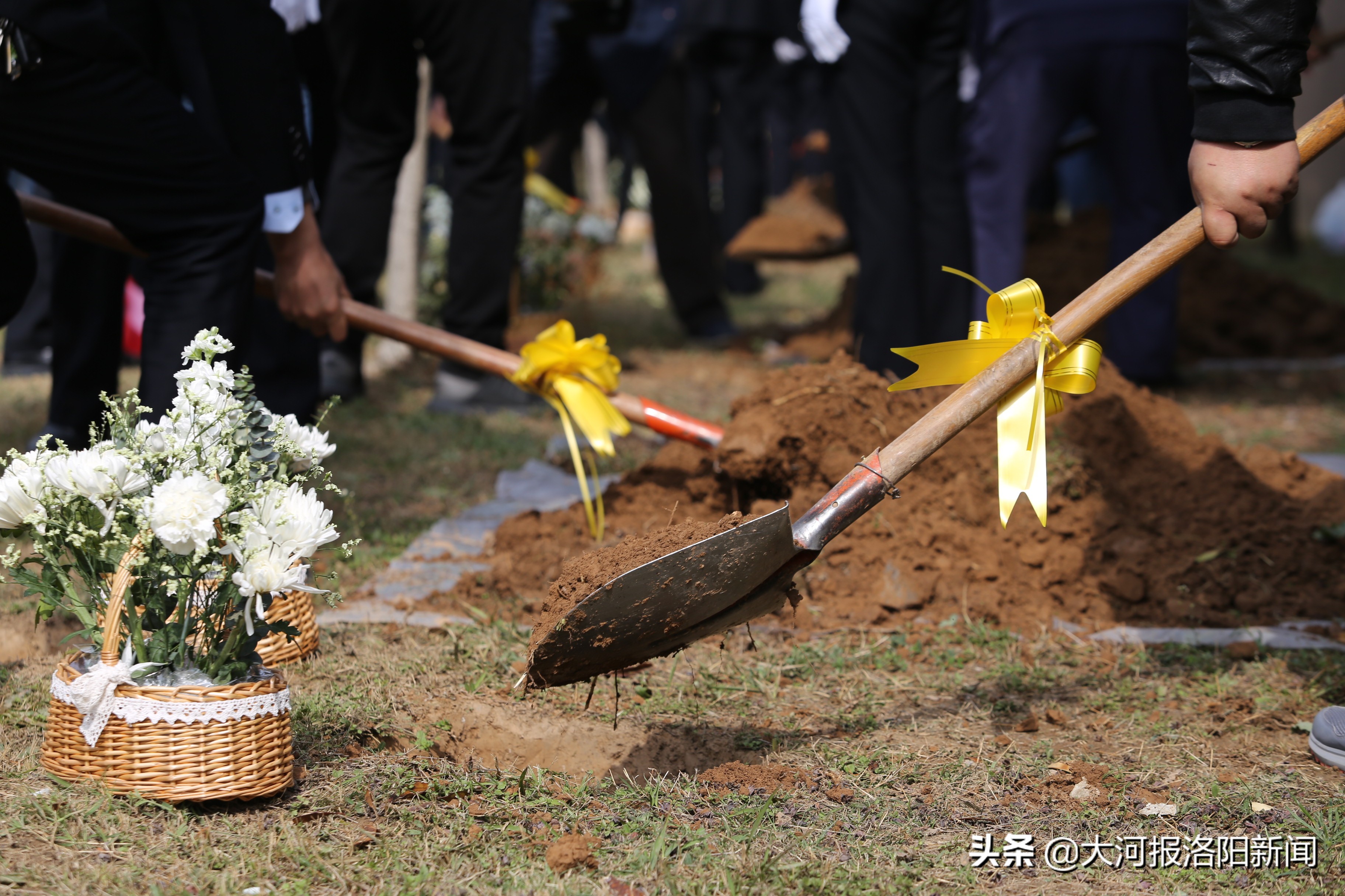 不立碑、不烧纸！洛阳16位逝者集体树葬，生态安葬正在被更多人接受