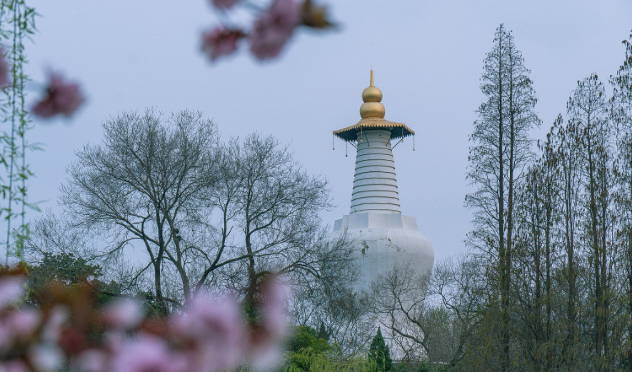 扬州瘦西湖不仅是5A景区，还是世遗项目，关键价格还便宜