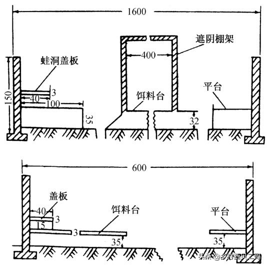 牛蛙的养殖技术（正确的牛蛙的养殖方法大全）