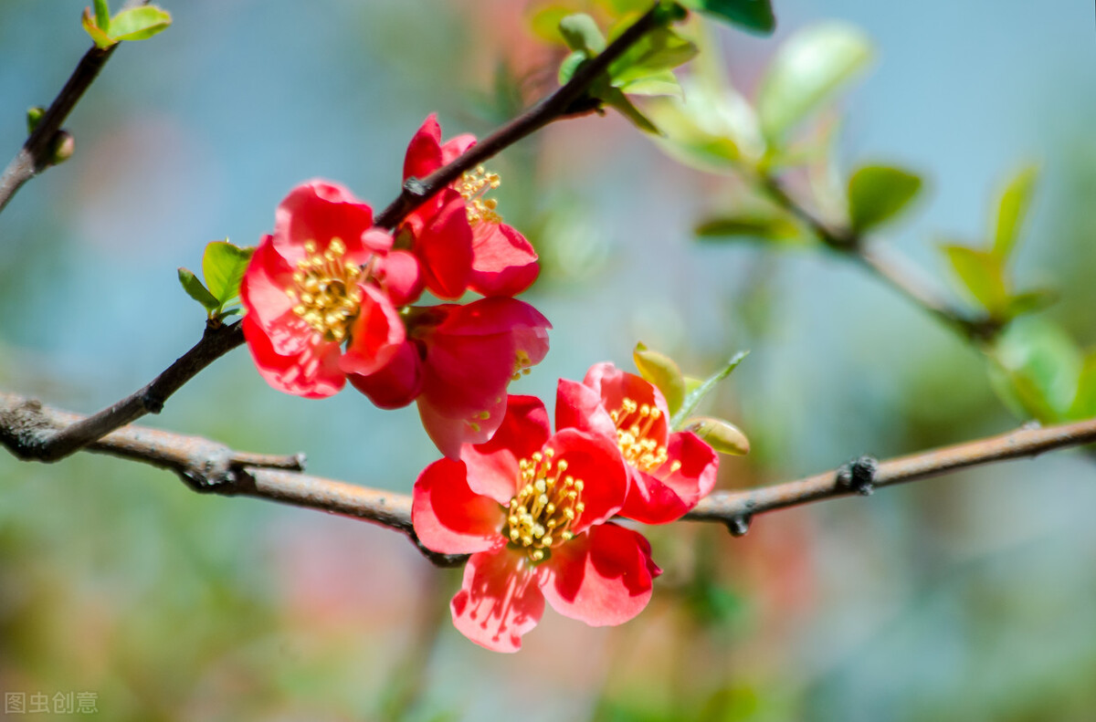 想你了，我最爱的人，忘不了你我做不到，念你成瘾戒不掉