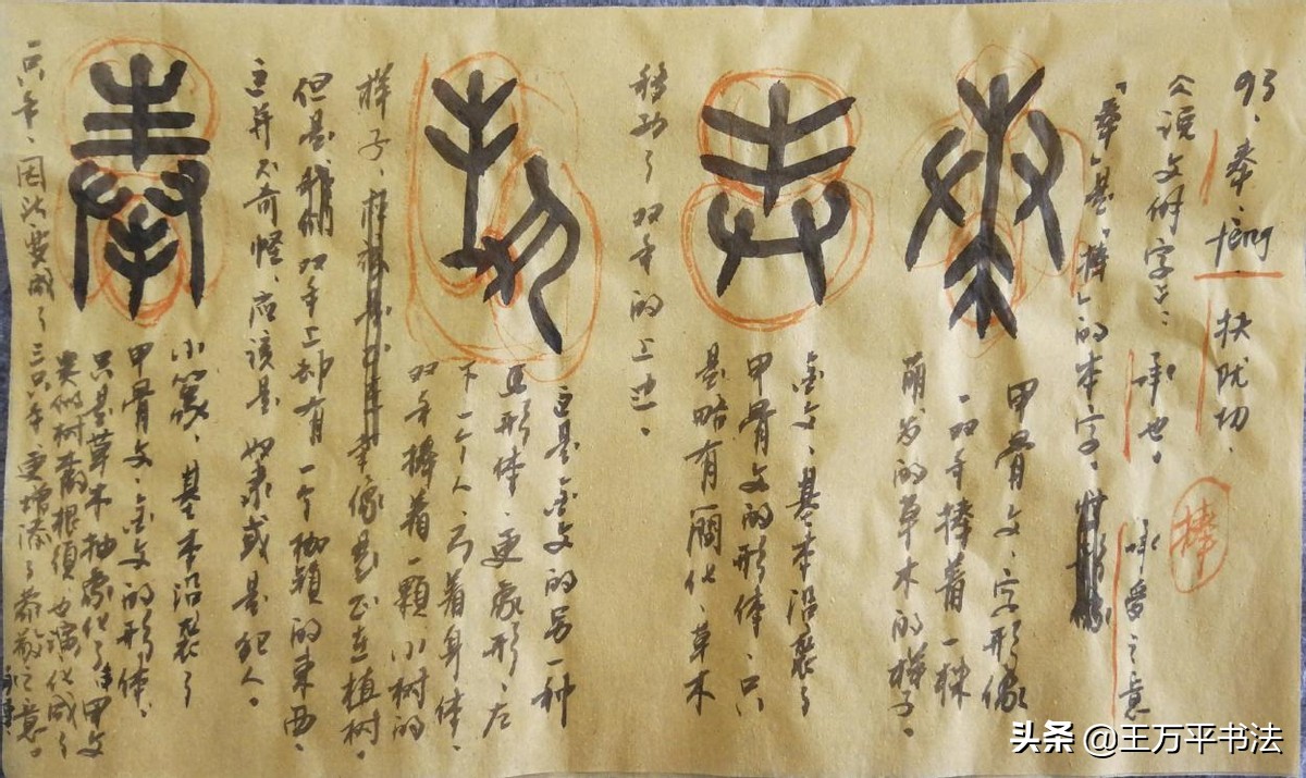 篆字识读31：手、惯、奉，奉字背后是一个个压迫与被压迫的故事