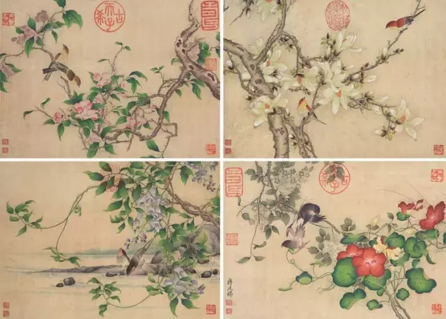 一朵牡丹价值超过100万,魅力何在?