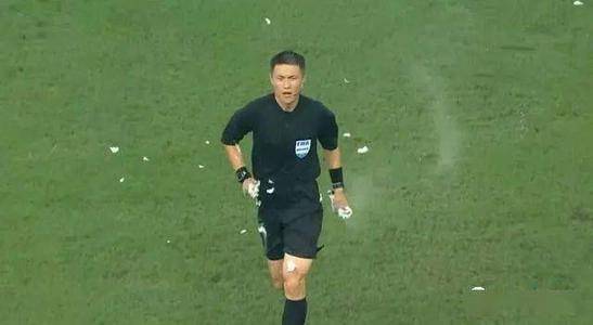 沈寅豪处理结果（疯狂一夜：沈寅豪结局？同济大学查实之后或被免职，想要翻身难了）