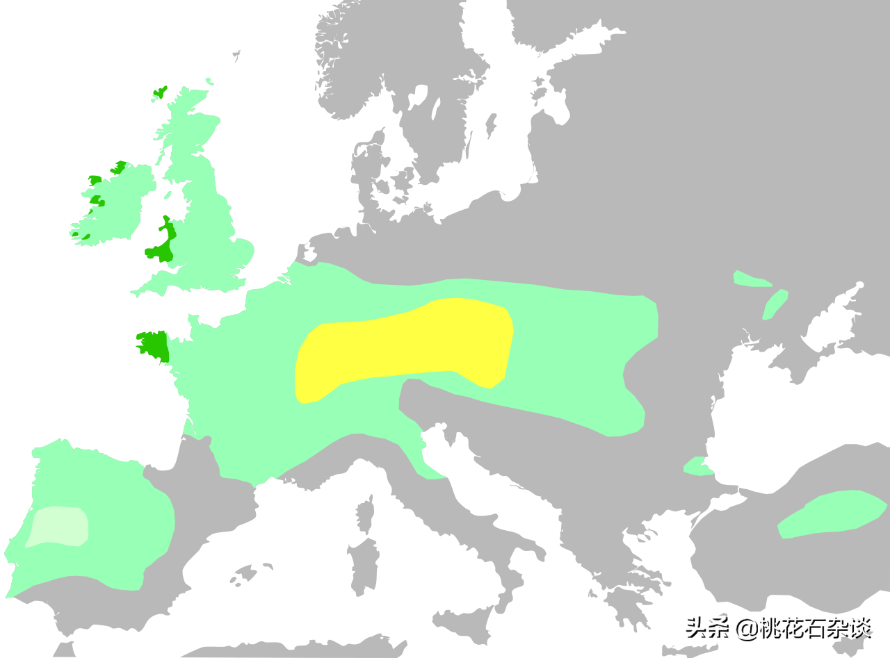 凯尔特人在哪里(为啥说法国人不是日耳曼人？和高卢人啥关系？高卢人又是什么人？)