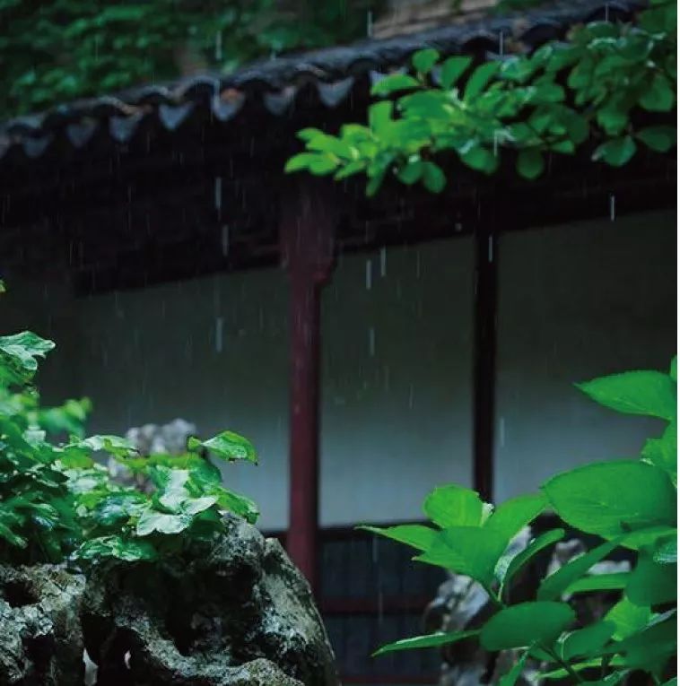 雨打芭蕉夜，坐窗听雨眠