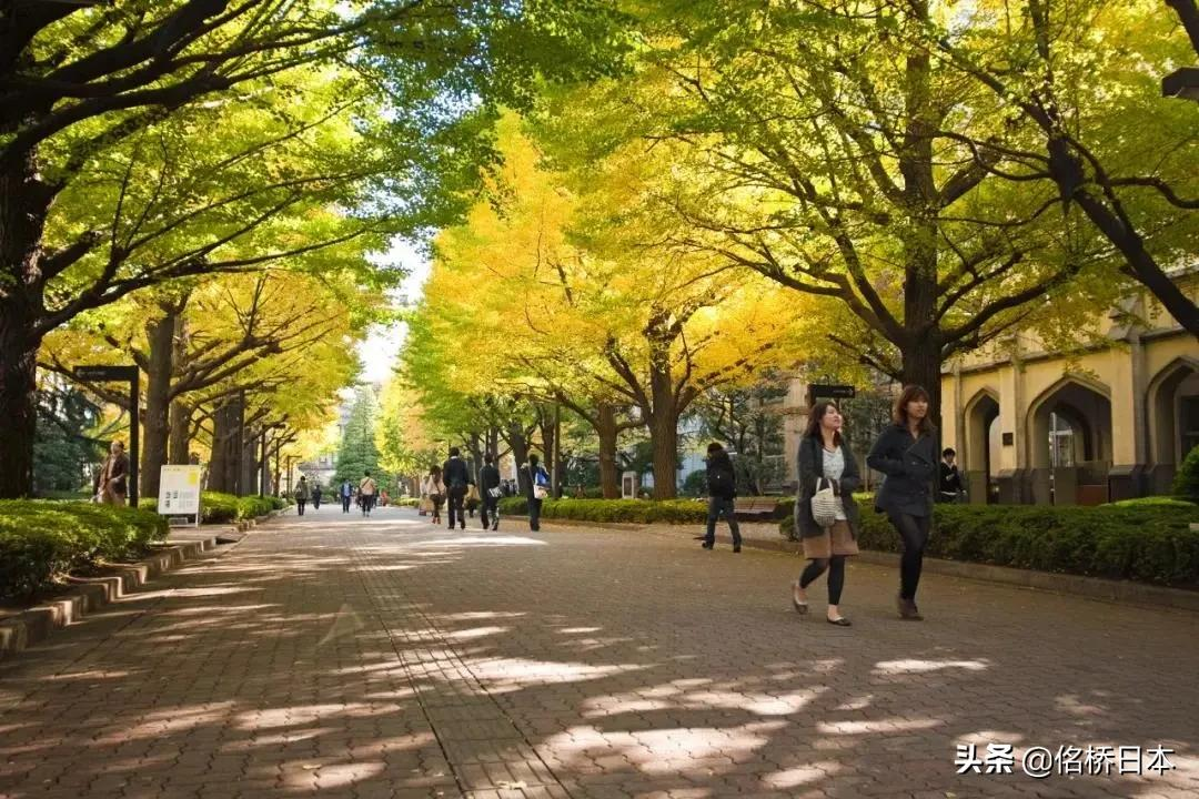 「日本大学排名多方对比」快来围观