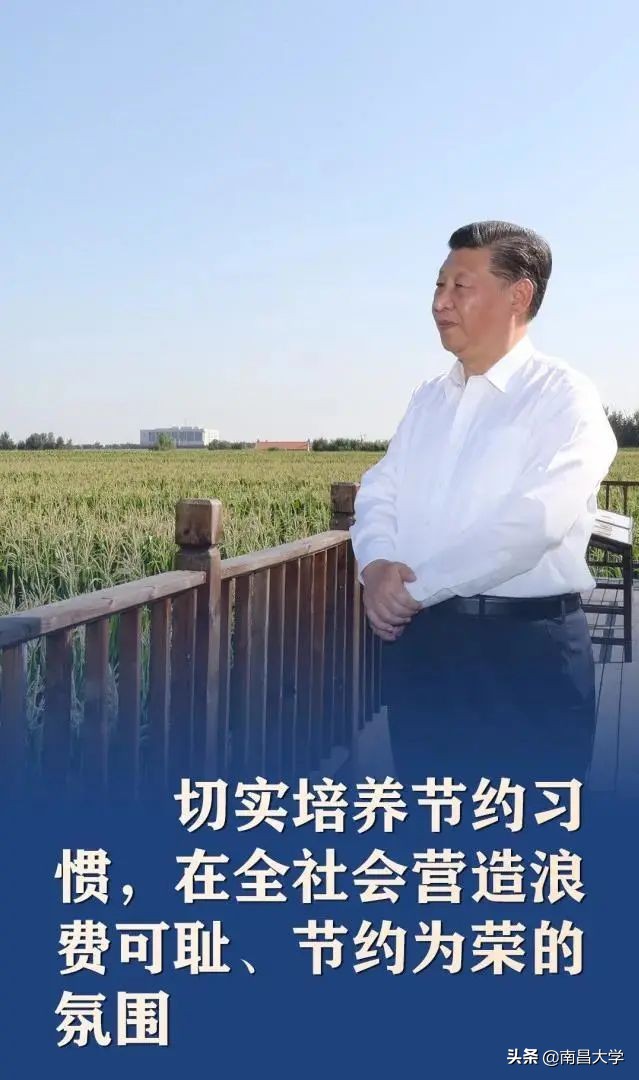 坚守“粮”心，拒绝“舌尖上的浪费”