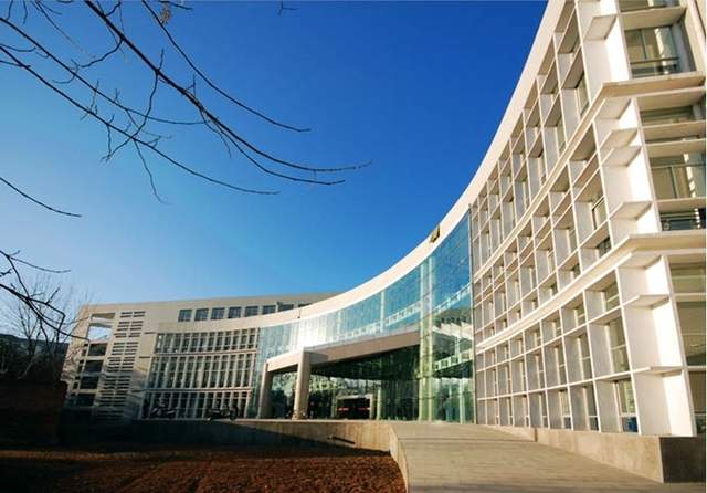 准80后大学副校长优秀，在高校耕耘20年，仍是讲师