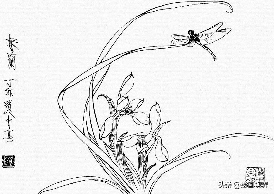 白描花卉中蝴蝶怎么画?线稿示范教你画,简单易学,收藏临摹起来